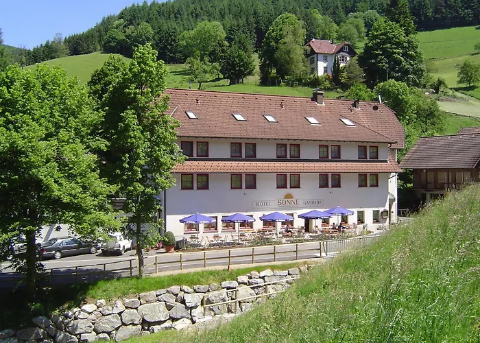 Hotel Sonne 3*